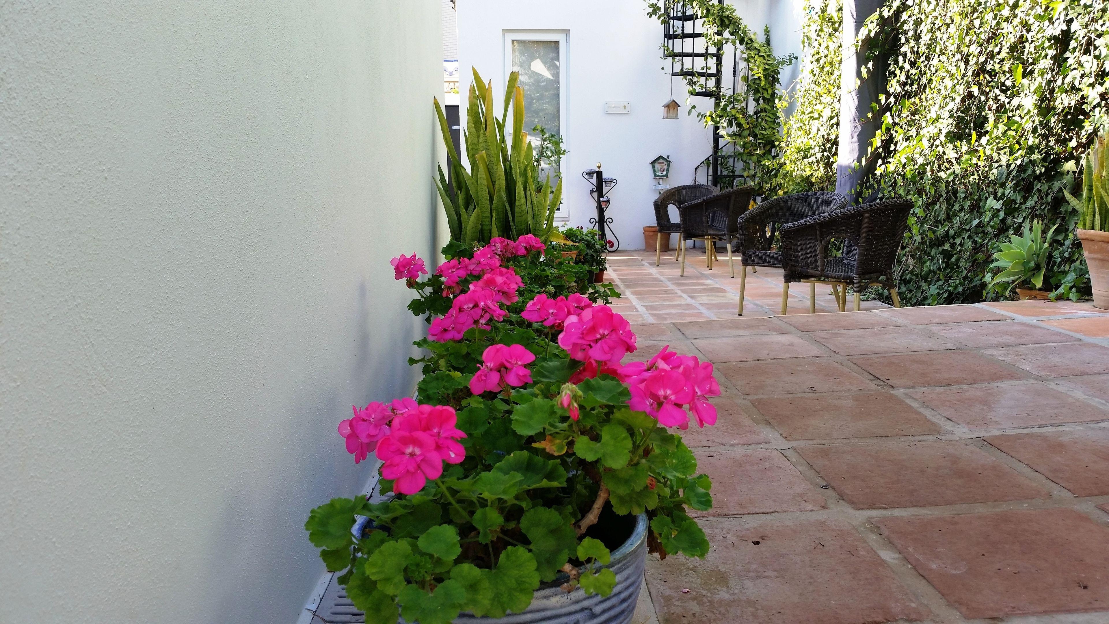 La Francesa Suites - Malaga, Malaga